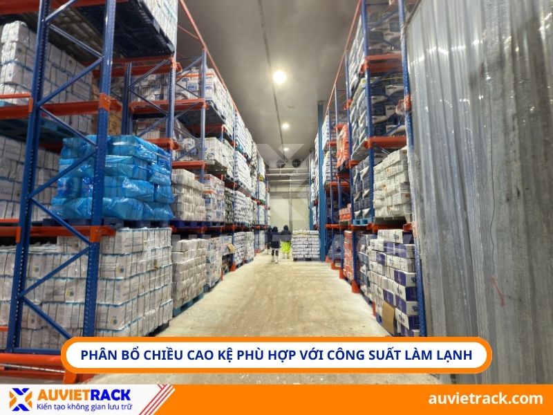 Ph&acirc;n bổ chiều cao ph&ugrave; hợp