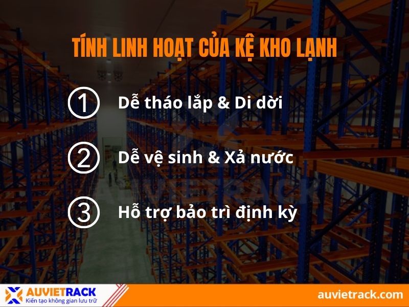 Tính linh hoạt của kệ kho lạnh