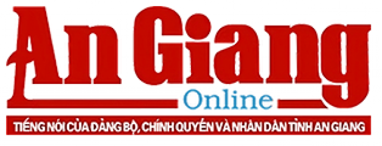 Mua kệ chứa hàng ở đâu uy tín tại TP. Hồ Chí Minh?