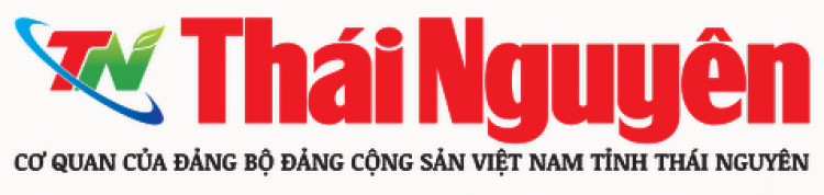 Au Viet Rack - Đơn vị uy tín cung cấp kệ chứa hàng trên toàn quốc